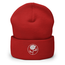 Load image into Gallery viewer, BR Cuffed Beanie